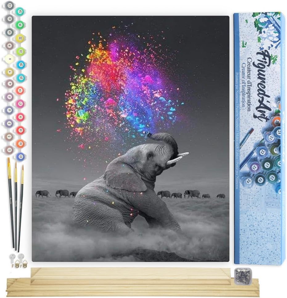 Figured'Art Malen Nach Zahlen Erwachsene Mit Rahmen Elefant und Farbexplosion - Paint by Numbers Bas