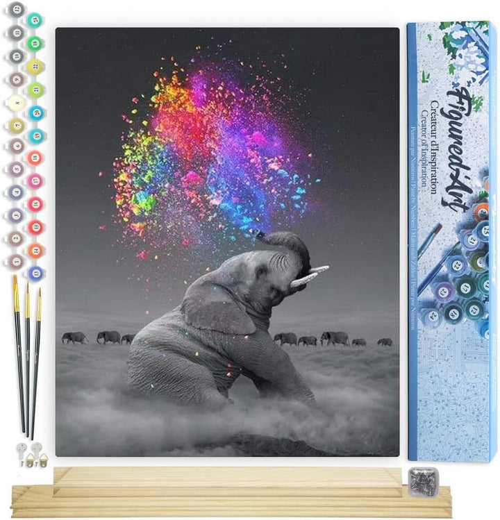 Figured'Art Malen Nach Zahlen Erwachsene Mit Rahmen Elefant und Farbexplosion - Paint by Numbers Bas