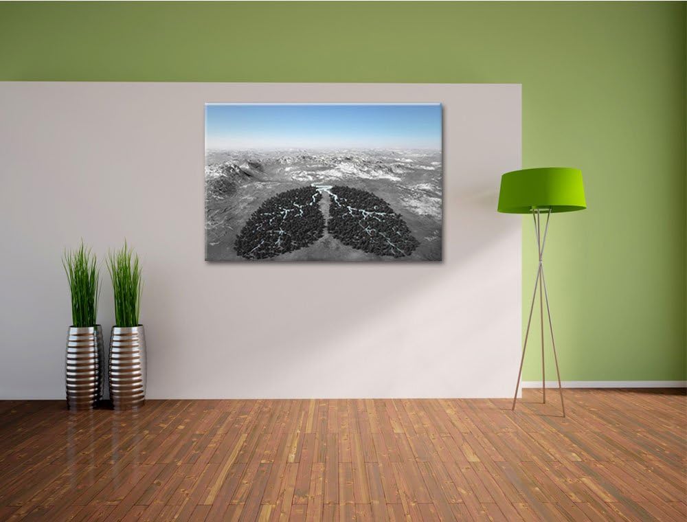 Lunge der Natur aus Bäumen schwarz/weiss Format: 100x70 auf Leinwand, XXL riesige Bilder fertig gera