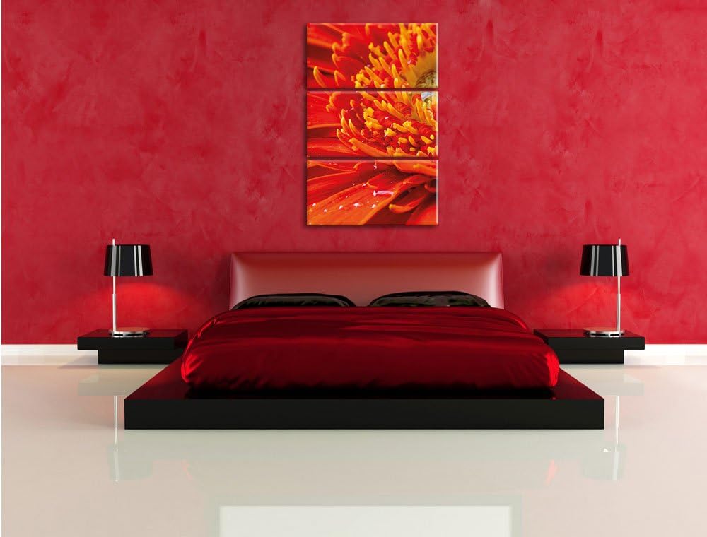 Pixxprint Gerbera mit Wassertropfen / 3-Teilig/Gesamtmass 120cm Leinwandbild bespannt auf Holzrahmen