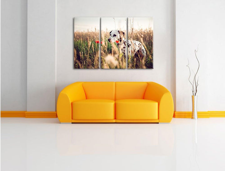 Pixxprint Neugieriger Hund im Feld als Leinwandbild/Grösse: 3 Teilig (120x80) cm/Wandbild/Kunstdruck
