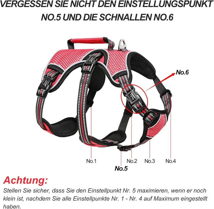 HEELE Hundegeschirr, Ausbruchsicher, Schnalle im Halsbereich, Reflektierend, Brustgeschirr mit Robus
