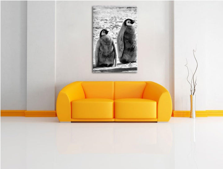 Pixxprint Monocrome, Vier Kaiserpinguin-Küken, Format: 100x70 auf Leinwand, riesige Bilder fertig ge