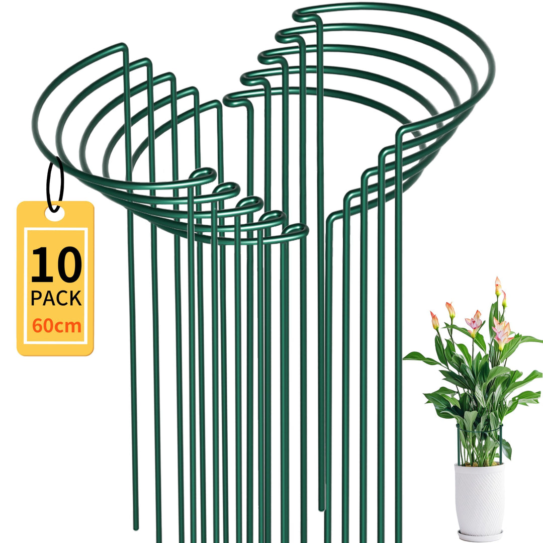 10 Stück Pflanzenstützen Staudenhalter Halbrund Gross 25x60cm,Robuste 4.5mm Draht Metall Pflanzenhal