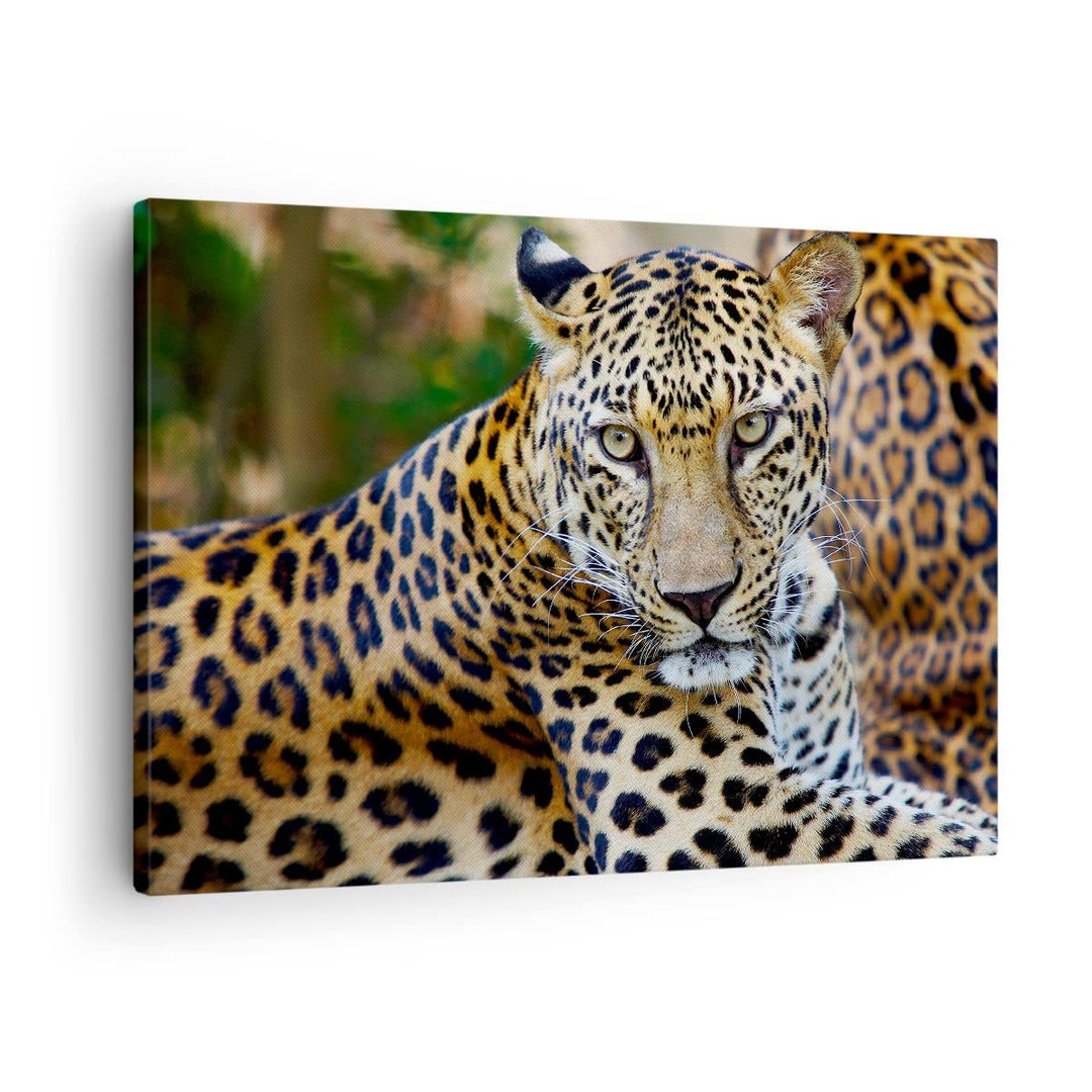 Bilder auf Leinwand Leopardpanther Katze Tier Savanne Leinwandbild 70x50cm Wandbilder Dekoration Woh