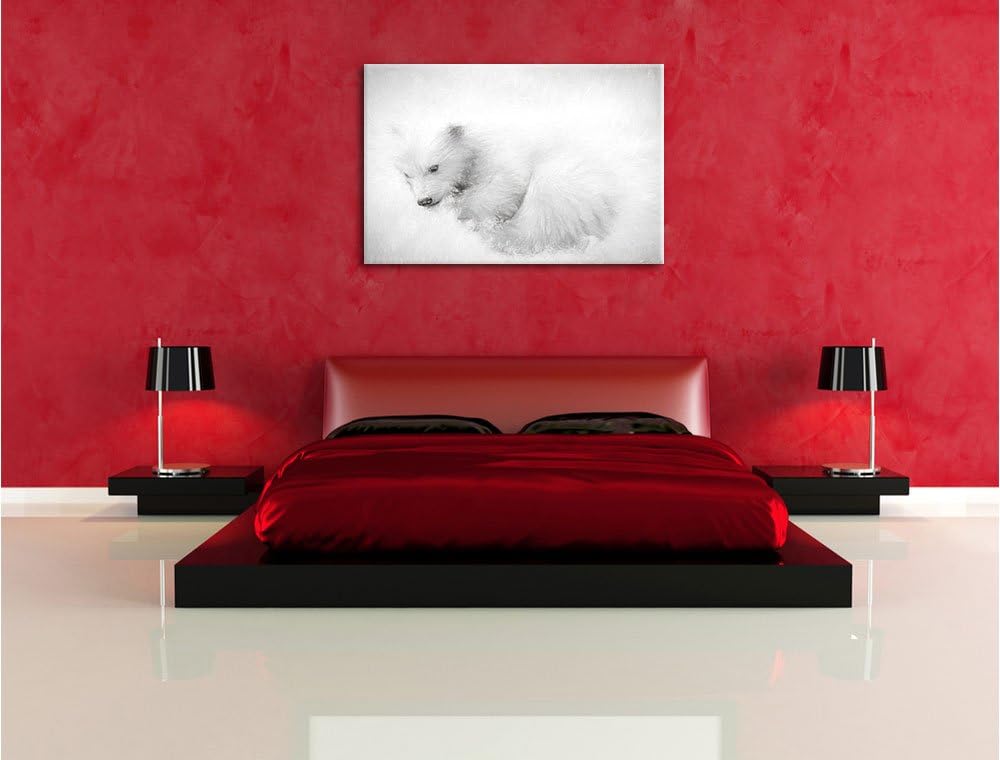 Pixxprint Eisbär im Schnee / 100x70cm Leinwandbild bespannt auf Holzrahmen/Wandbild Kunstdruck Dekor