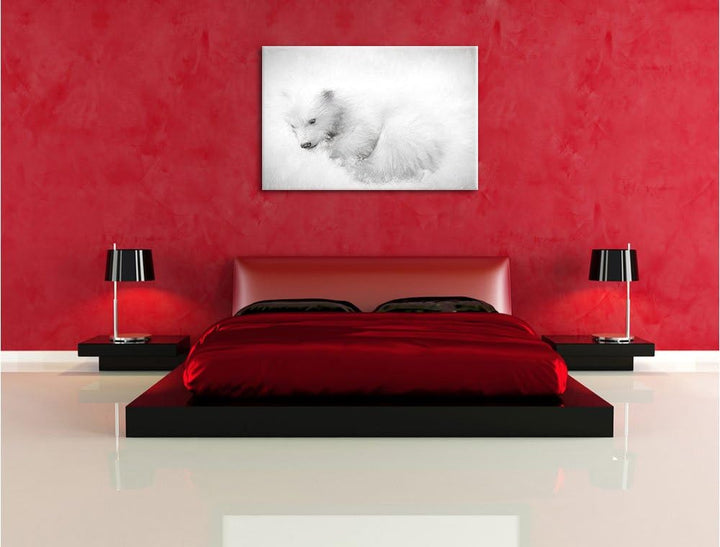 Pixxprint Eisbär im Schnee / 100x70cm Leinwandbild bespannt auf Holzrahmen/Wandbild Kunstdruck Dekor