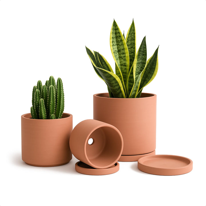 Terrakotta-Töpfe für Pflanzen, 10,7 cm, 13,9 cm, 16,5 cm, Sukkulenten-Übertopf mit Drainage und Unte