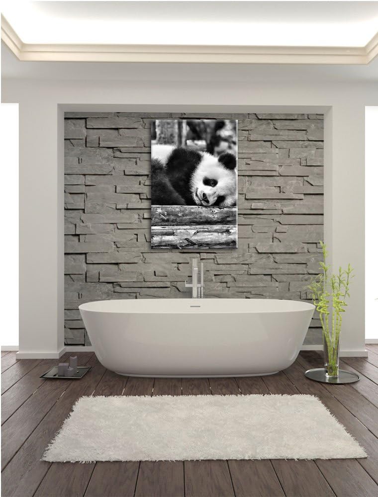 Pixxprint Monocrome, süsser Kleiner Pandabär, Format: 100x70 auf Leinwand, 100x70