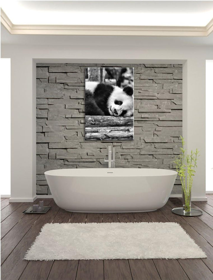 Pixxprint Monocrome, süsser Kleiner Pandabär, Format: 100x70 auf Leinwand, 100x70