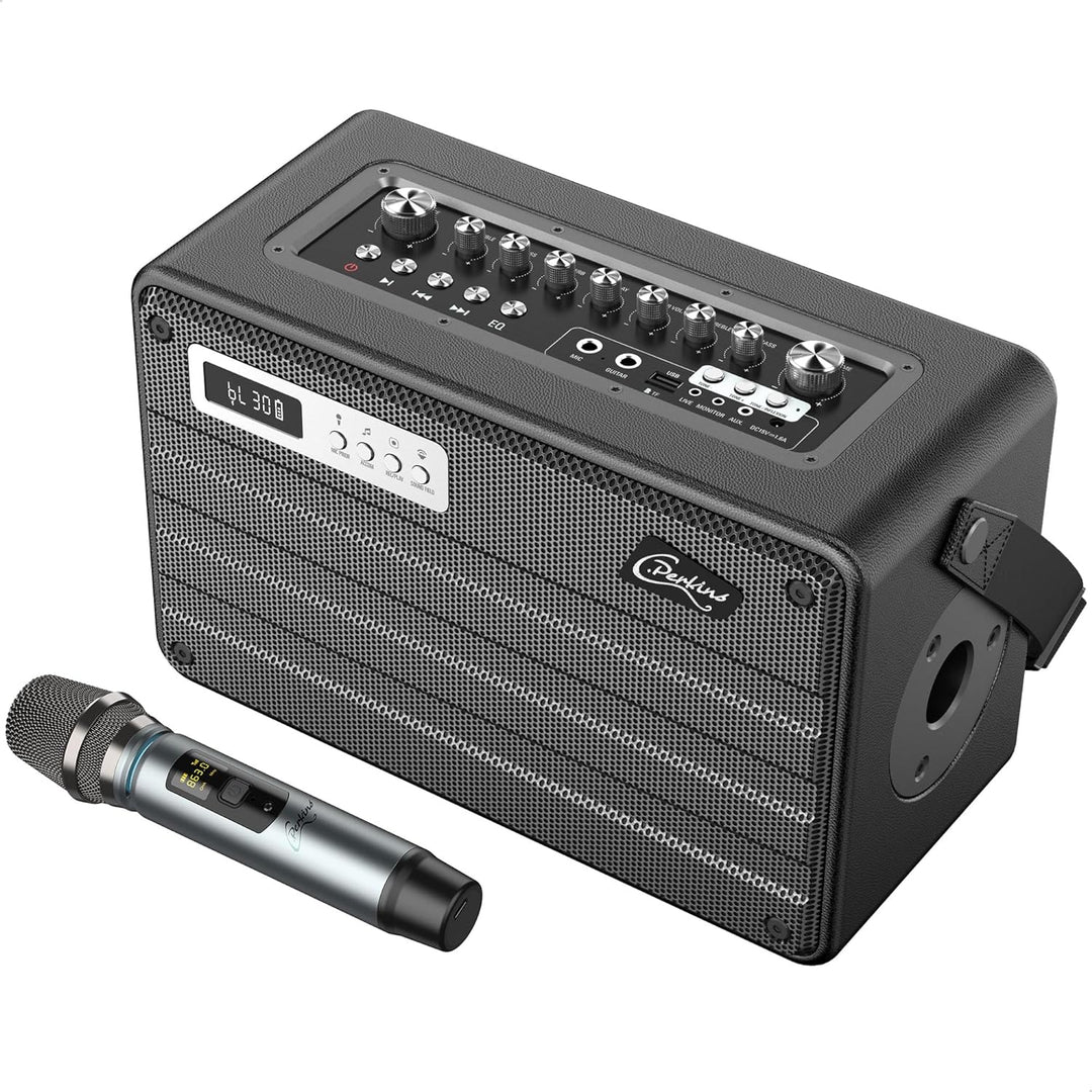C.Perkins - ROADY-FL - Das professionelle 100W batteriebetriebene ALL-IN-ONE mit 1 drahtlosen UHF-Mi