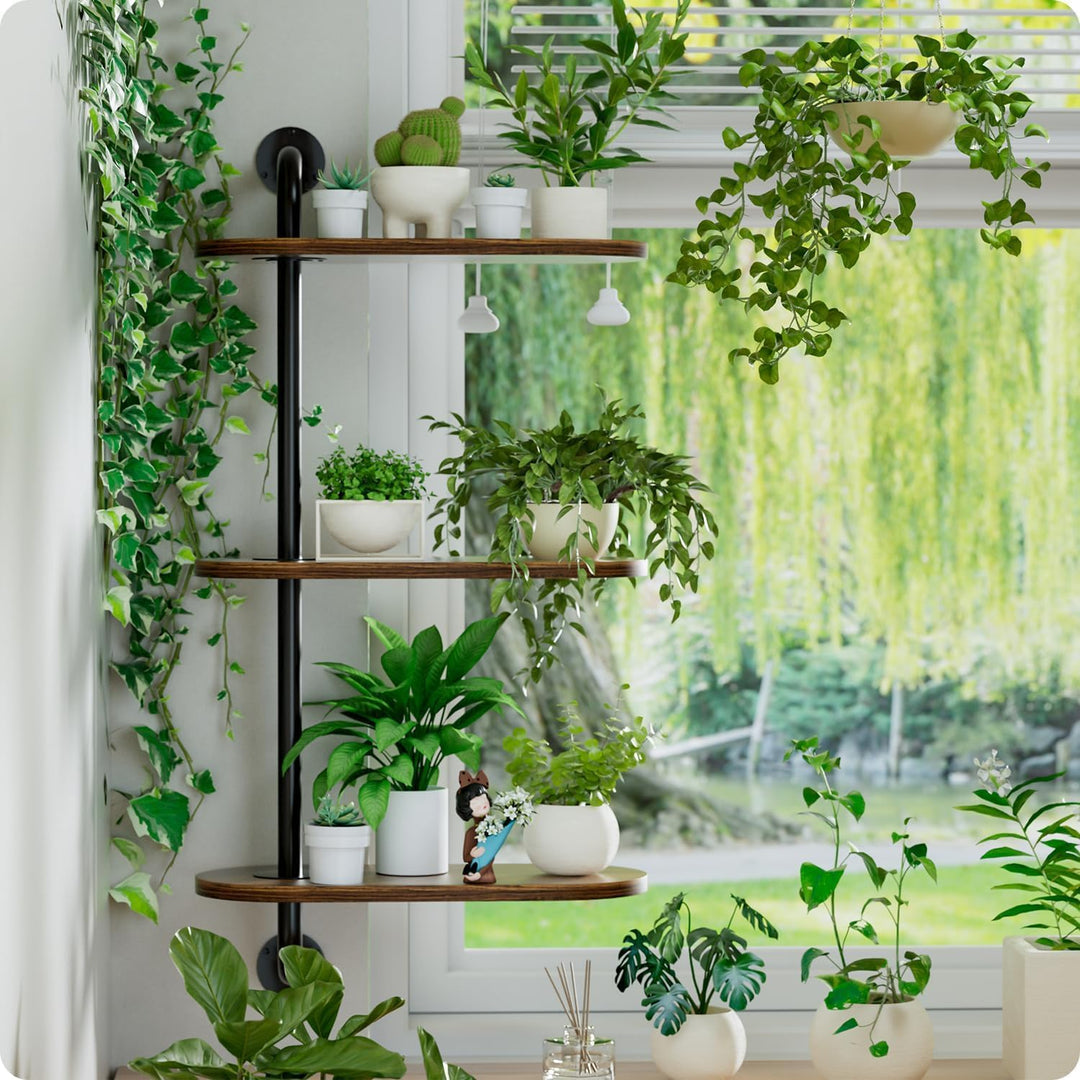 Drehbarer Fensterpflanzenständer Massivholz - Wandmontiertes Pflanzenregal für Küche, Bar &amp; Wohnzimm