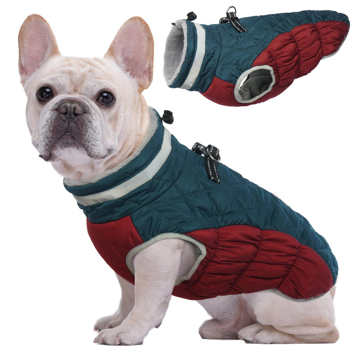 Kuoser Wärme hundemantel, Winddicht hundejacke, Reflektierend hundemantel für kleine Hunde, hundeman