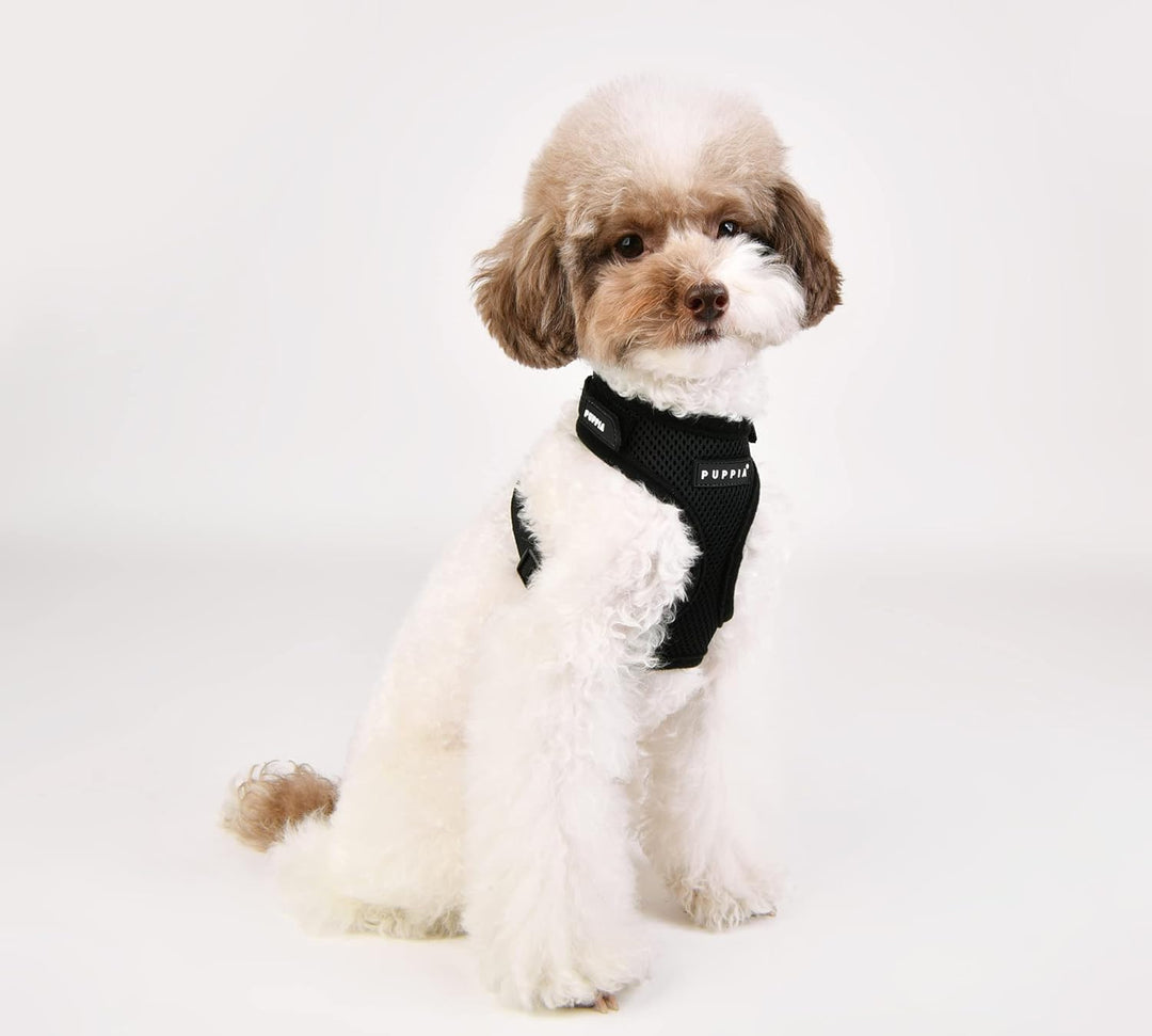 Puppia Hundegeschirr - Soft Superior Geschirr A – super weich - für kleine und mittelgrosse Hunde sc