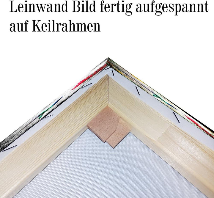 Julia-Art - Bilder Leopard Leinwand mit Keilrahmen 100 x 70 cm Leinwandbild XXL Wandbild Tiere Kunst