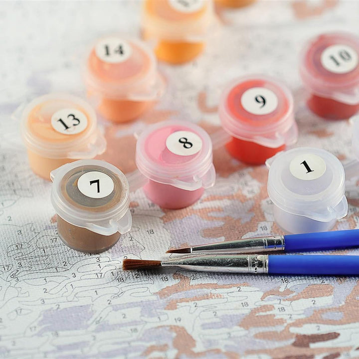 Artnapi Malen nach Zahlen Erwachsene mit Rahmen | DIY Handgemalt | Geheimnisvolle Frau | Kit für Anf