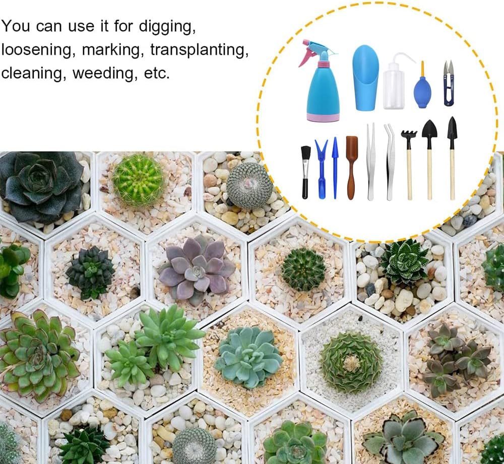 Amasawa 14 Stück Mini Garten Handwerkzeuge Set, Sukkulente Handwerkzeuge Set, Pflanz Handwerkzeuge S