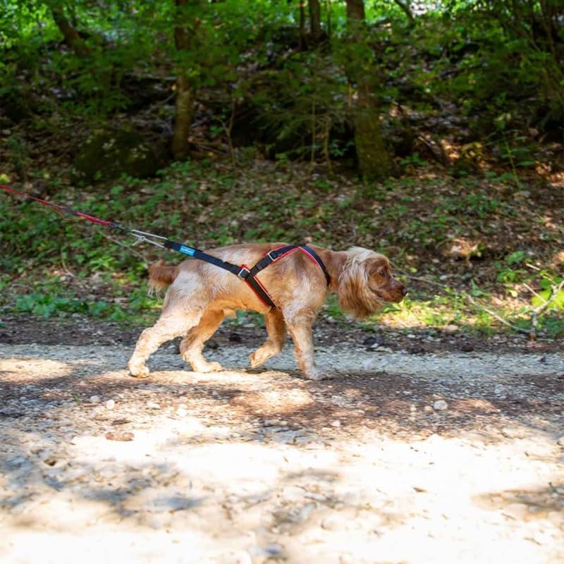 inlandsis Canicross Geschirr für kleine Hunde, Open-Back S Rosa / Schwarz, S Rosa / Schwarz