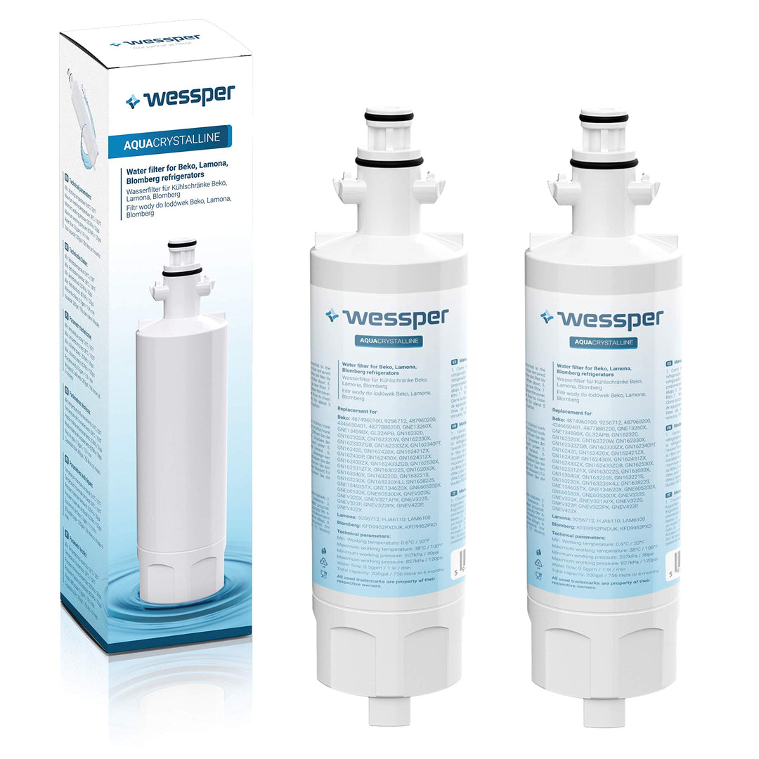 Wessper 2x 4874960100 Gefrier-Kühlschrank Wasserfilter Ersatz kompatibel mit Beko 4874960100 4394650