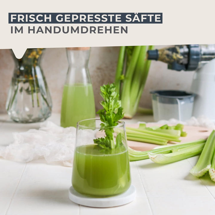 FACKELMANN Fruchtsaftpresse, Edelstahl, Weiss, Blau und Transparent, 30 x 13 x 26cm