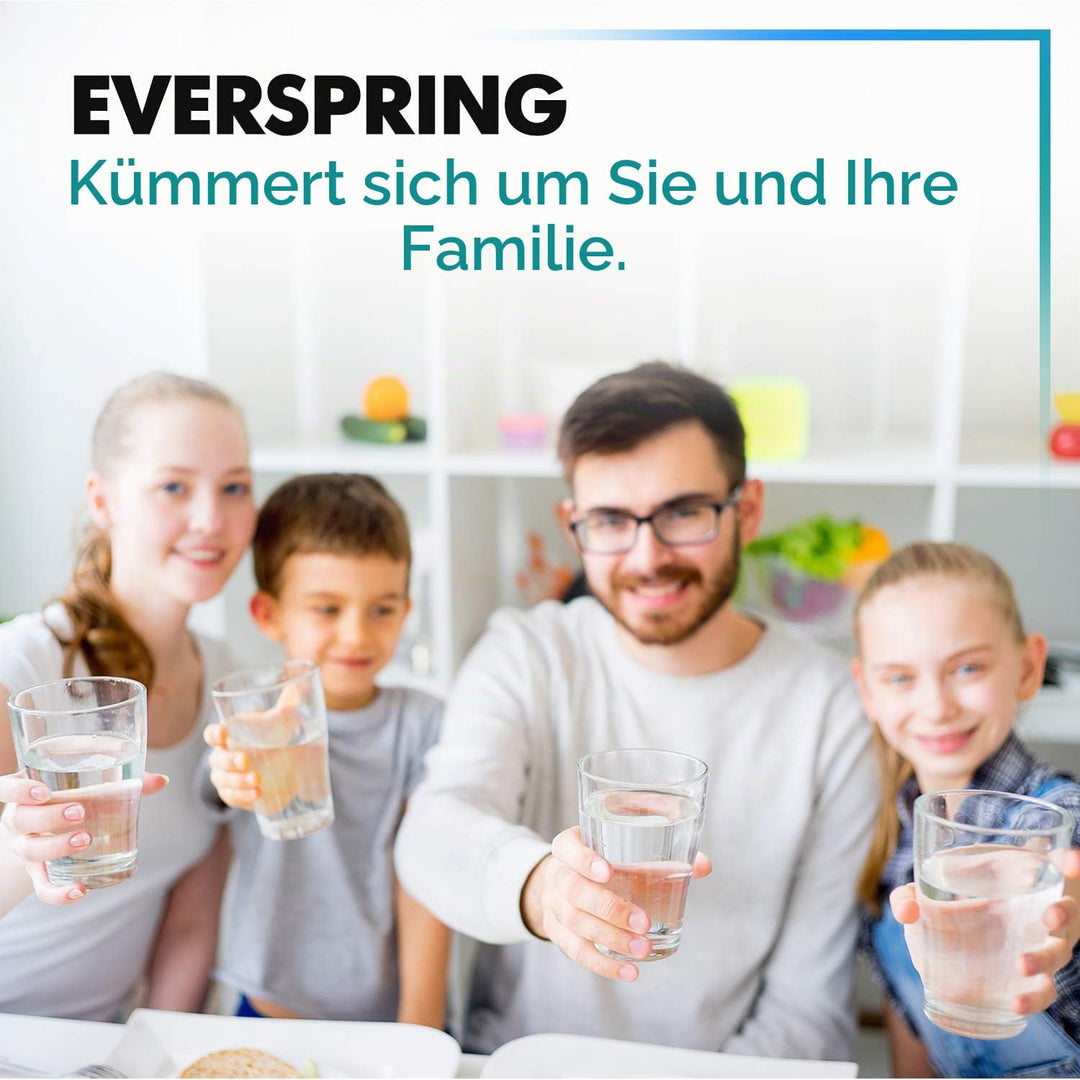 EVERSPRING Kühlschrank Wasserfilter Ersatz für Samsung DA29-00003F, DA29-00003G, Aqua Pure Plus Hafi