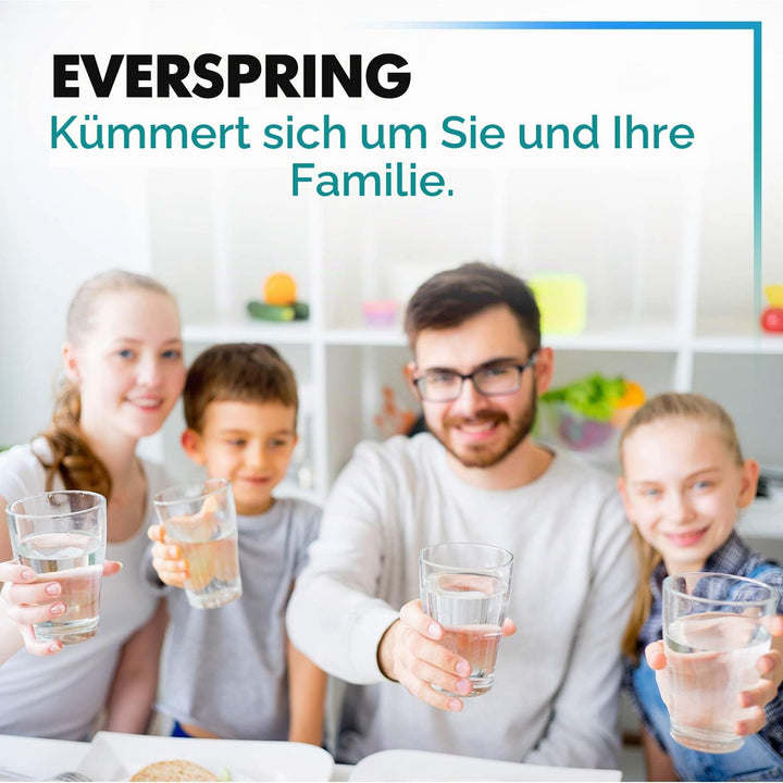 EVERSPRING Kühlschrank Wasserfilter Ersatz für Samsung DA29-00003F, DA29-00003G, Aqua Pure Plus Hafi