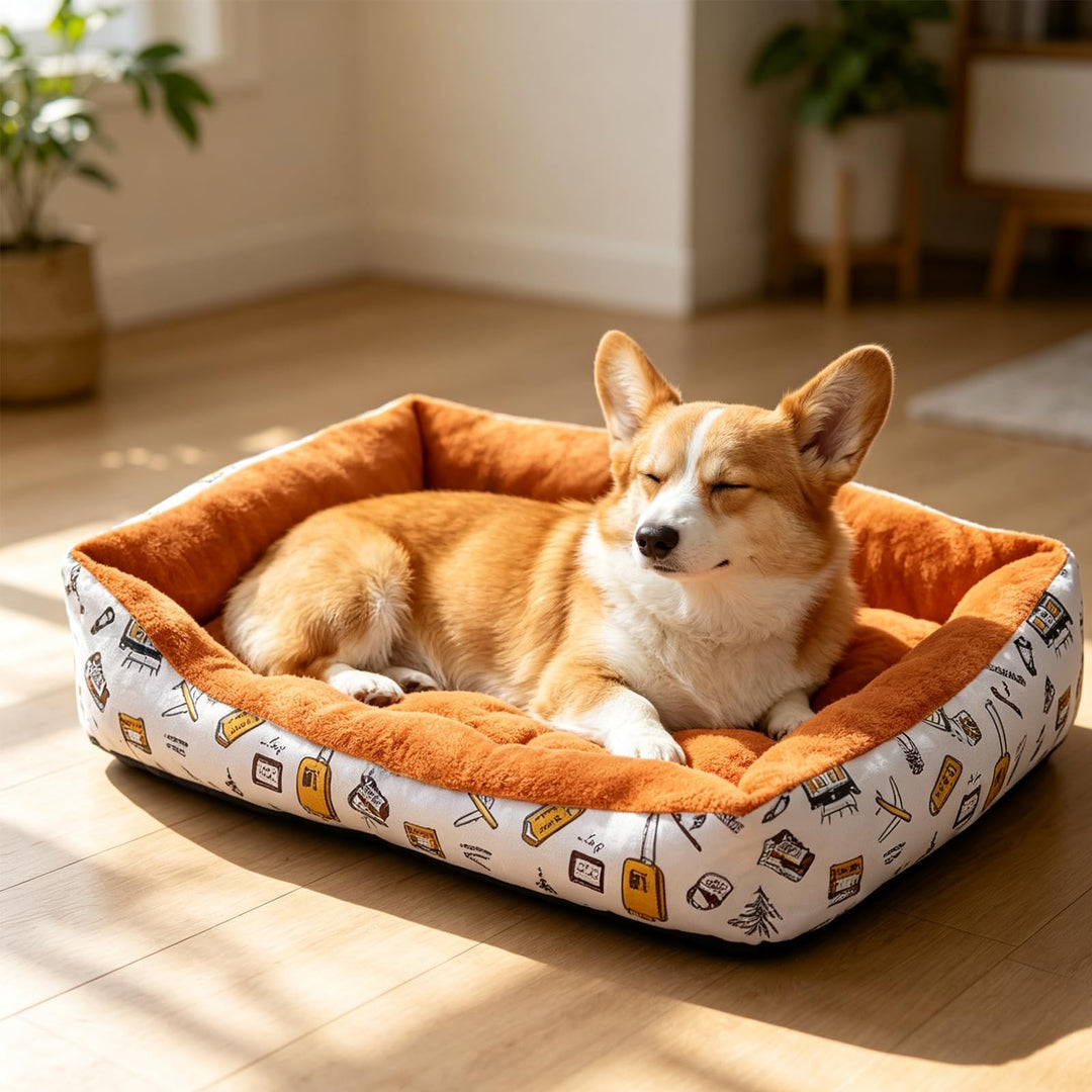 PETCUTE Haustierbett Hundesofa,Waschmaschinenfest Orthopädisches Hundebett für Kleine Hunde,Rutschfe