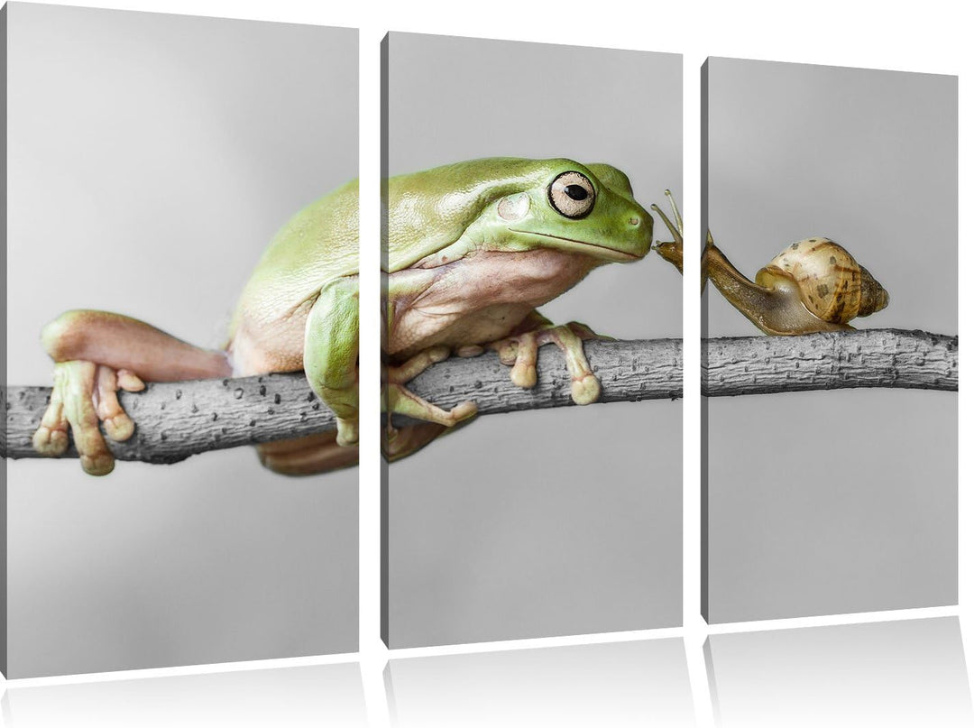Pixxprint der Frosch und die Schnecke B&W Detail 3-Teiler Leinwandbild 120x80 Bild auf Leinwand