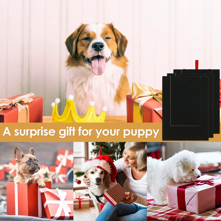 Hunde Krallen Kratzbrett 35x25x3cm Kratzbrett für Hunde mit Leckerli Box Quadrat Stressfrei Dog Nail