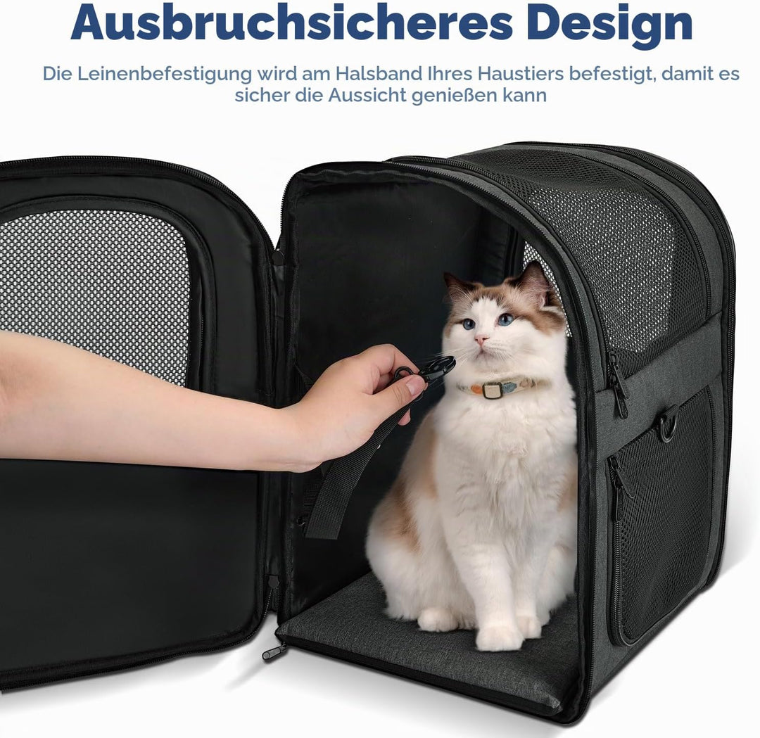 Apollo Walker Tragerucksack für Hunde und Katzen für mittelgrosse und kleine Haustiere – belüftetes,