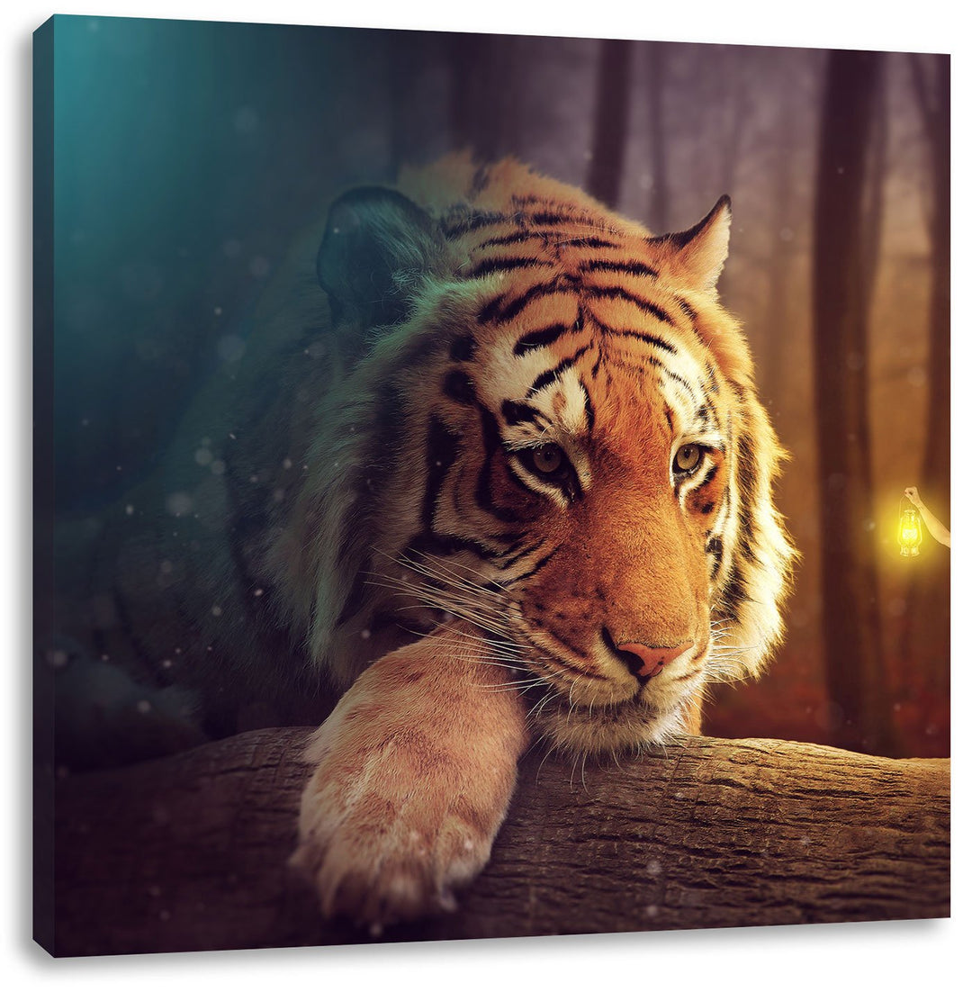 Pixxprint EIN Fantasy-Welt - eine Frau und EIN Riesen-Tiger, Format: 70x70 auf Leinwand, 70x70