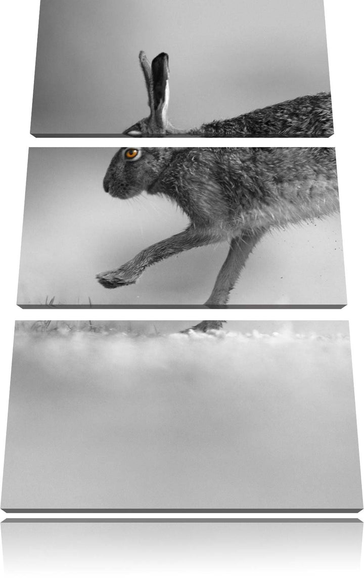 Pixxprint Springender Feldhase schwarz/weiss / 3-Teilig/Gesamtmass 120cm Leinwandbild bespannt auf H