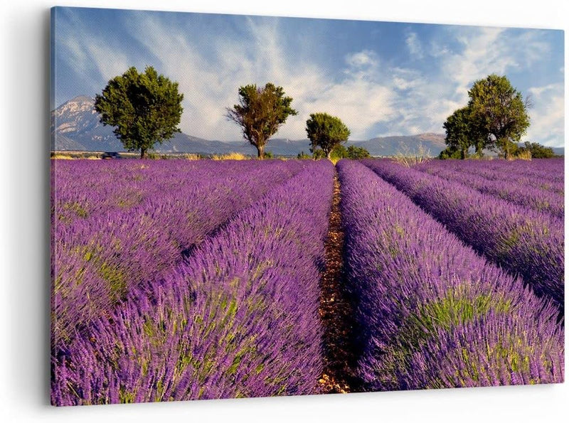 Bilder auf Leinwand 100x70cm Leinwandbild Landschaft Wiese Pflanzen Gross Wanddeko Bild Schlafzimmer