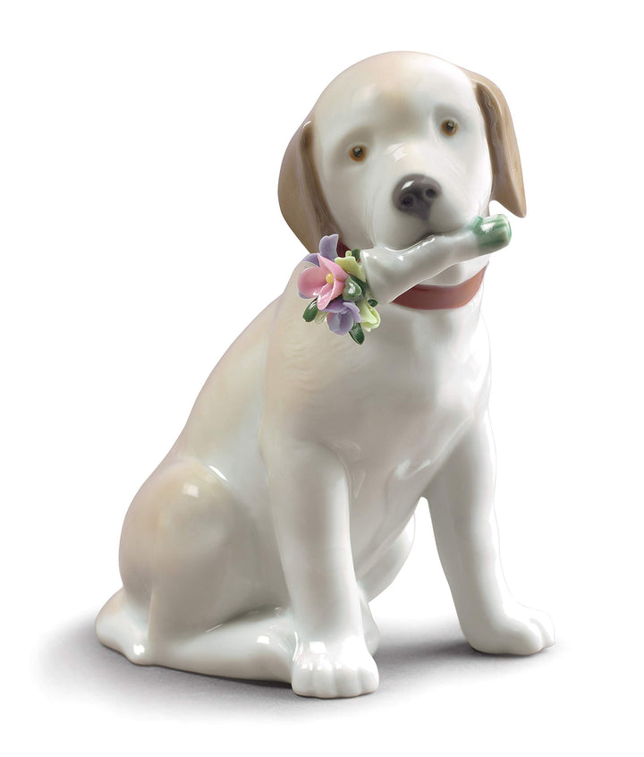 LLADRÓ Hunde Figur Dieser Blumenstrauss Ist Für Dich. Hund. Porzellan.