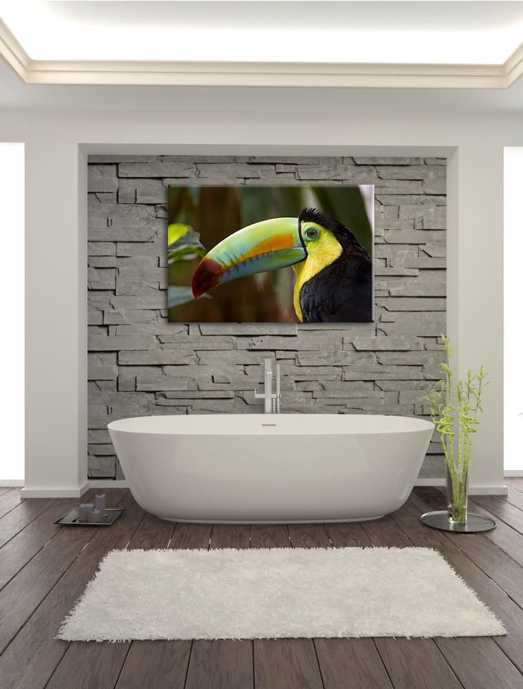 Pixxprint schöner Tukan auf Leinwand, XXL riesige Bilder fertig gerahmt mit Keilrahmen, Kunstdruck a
