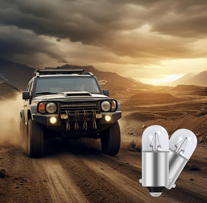 20x T4W BA9s Glühbirnen 12V 4W Metallsockel Halogen Lampen für Standlicht Kennzeichenbeleuchtung und