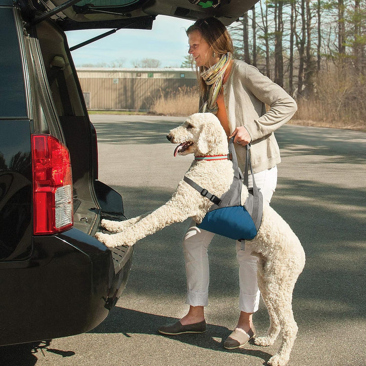 Kurgo Up and About Hebegeschirr für Hunde, ergonomisches Design, Hilft dem Hund beim Treppensteigen
