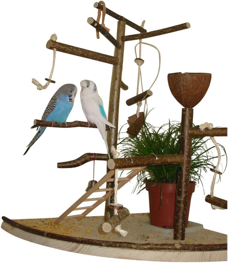 Vogelgaleria® Premium Vogelspielplatz gross für die Wand-Montage | 2 abnehmbare Natur Kletterbäume a