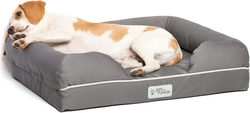 PetFusion Ultimate Solid 2,5 "Memory Foam Haustierbett für kleine Hunde und Katzen (25 x 20 x 5,5" o