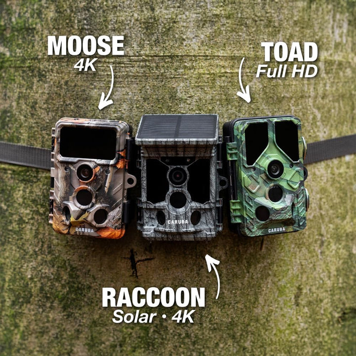 Caruba Wildtierkamera Kamera Raccoon Solar 4K | 46MP Fotoauflösung | 4K Video | Solarpanel | WLAN &