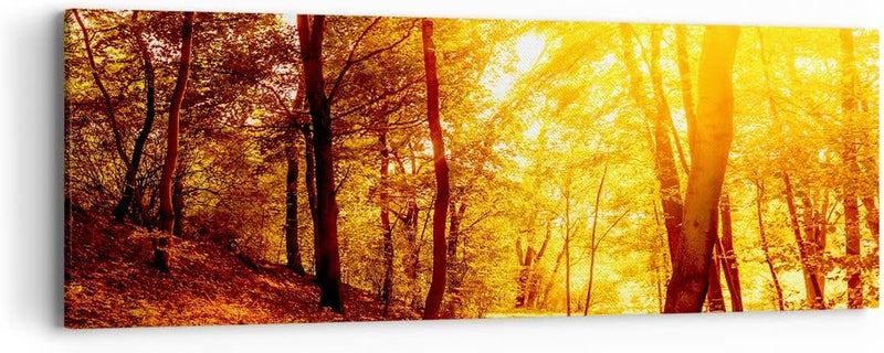 Panorama Bilder auf Leinwand Wald Baum Natur Leinwandbild mit Rahmen 90x30cm Wandbilder Dekoration W