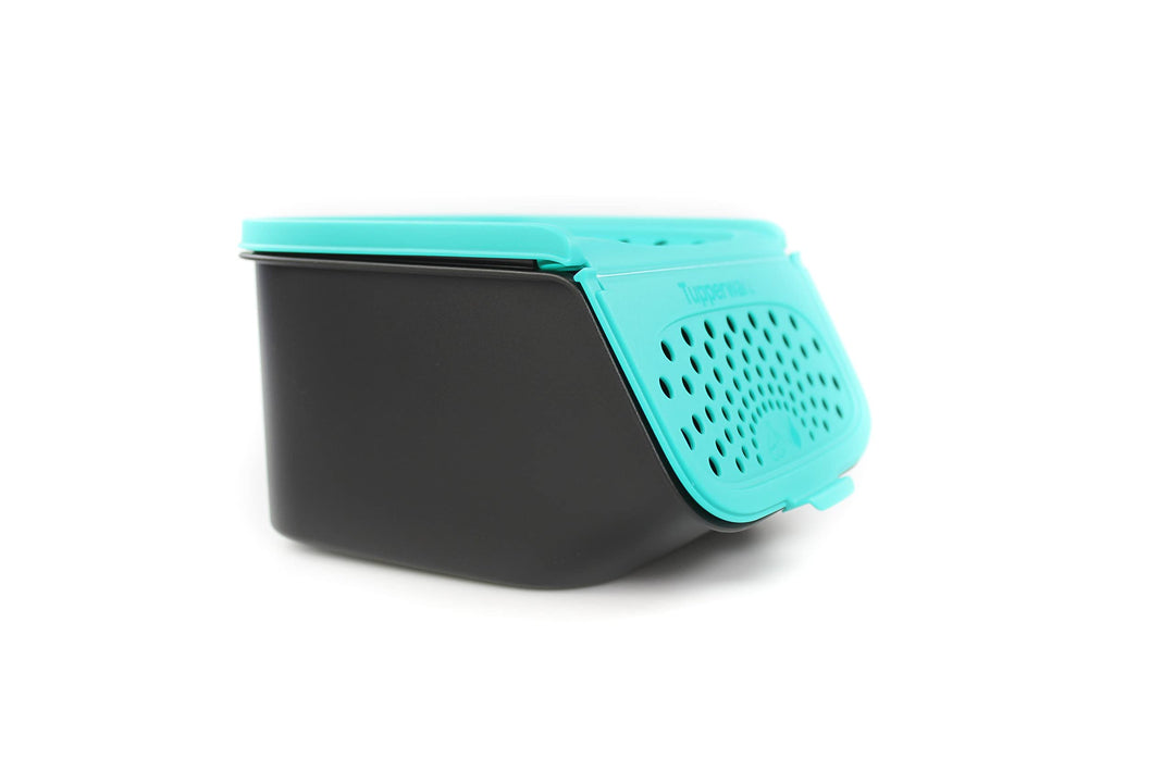 Tupperware Knoblauch-Lager 2,3 L schwarz türkis