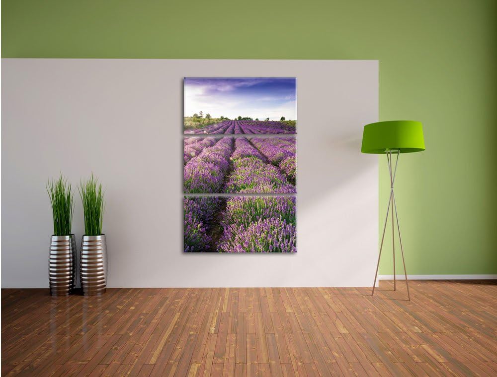 Pixxprint Lavendelfeld Provence als Leinwandbild/Grösse: 3 Teilig (120x80) cm/Wandbild/Kunstdruck/fe