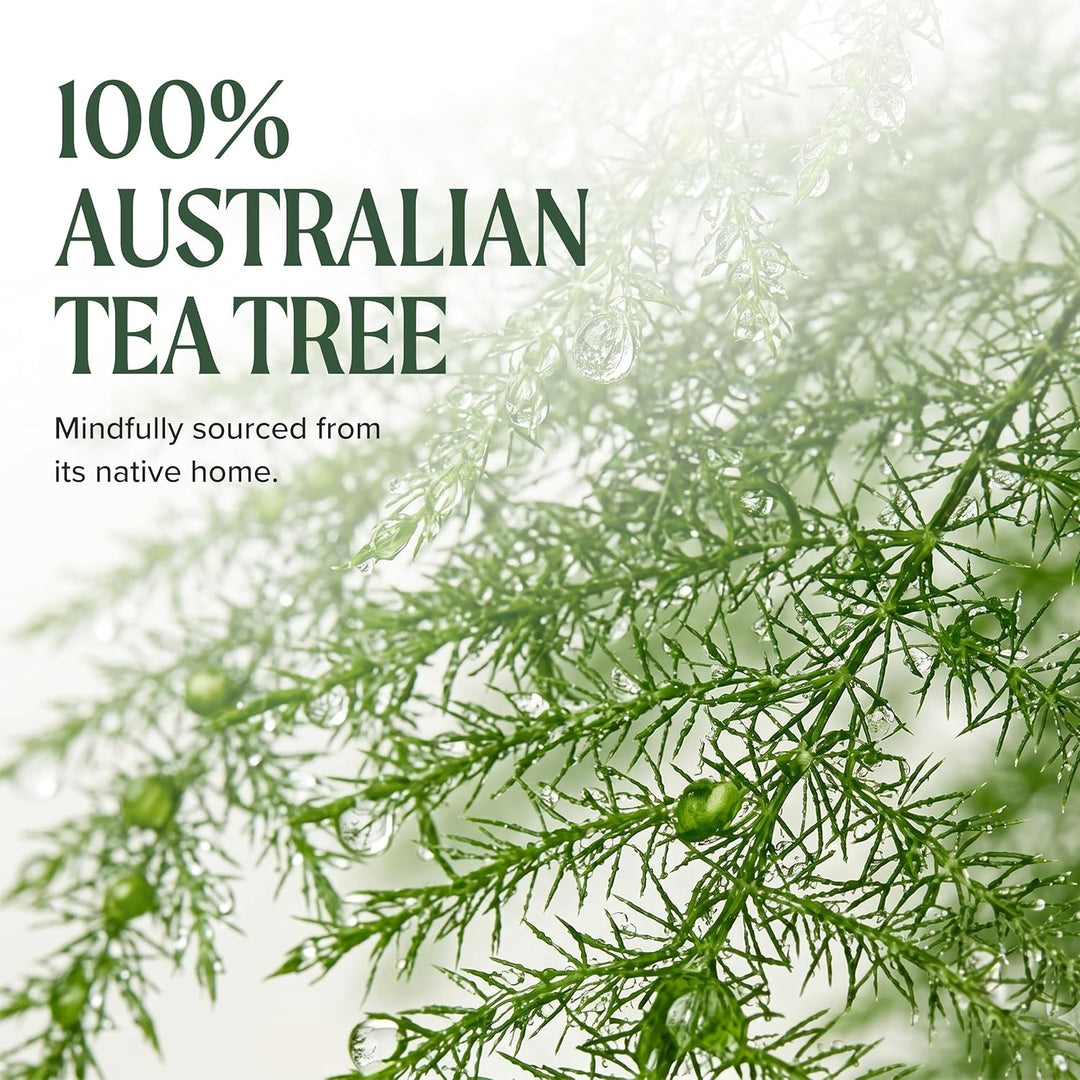 Paul Mitchell Tea Tree Lavender Mint Moisturizing Shampoo - Feuchtigkeits-Shampoo für trockenes, ges