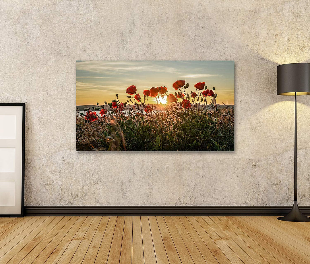 islandburner Bild auf Leinwand Roter Mohn Sonnenuntergang Mönchgut Ostseeinsel Rügen Bilder Wandbild
