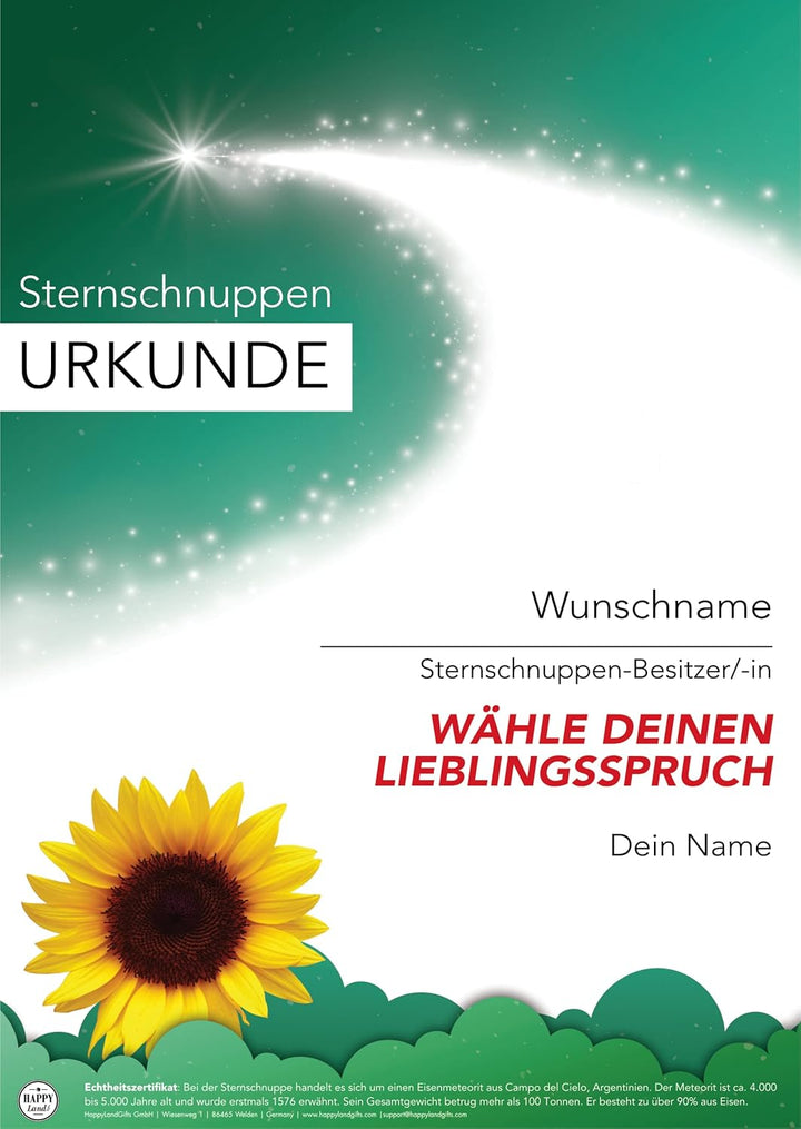 happylandgifts® Premium | Echte Sternschnuppe zum Danke Sagen | Personalisierte Urkunde mit Wunschna