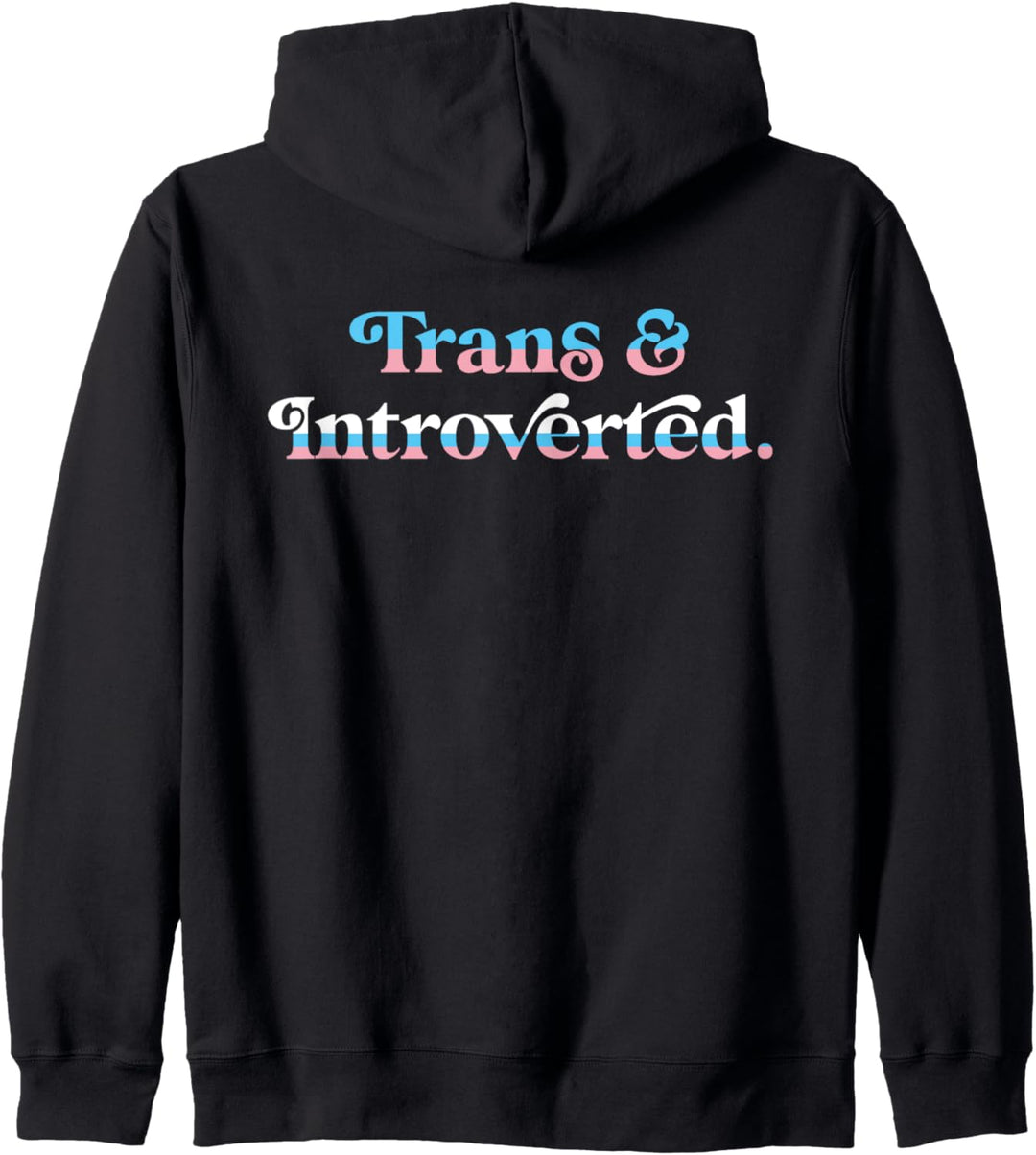 Trans And Introverted Funny Aesthetic Retro LGBTQ Pride Flag Kapuzenjacke