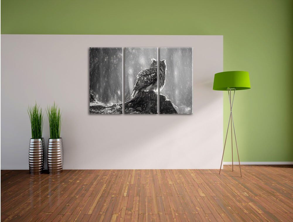 Pixxprint Eule auf dem Baumstamm als Leinwandbild/Grösse: 3 Teilig (120x80 cm) cm/Wandbild/Kunstdruc