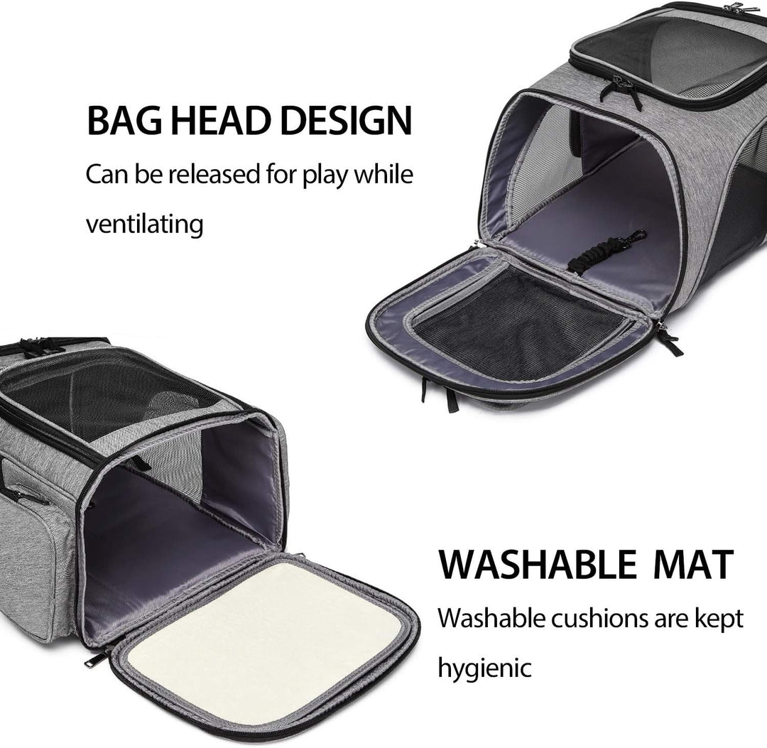 PETCUTE Hundetragetasche Katzenrucksack Haustier Rucksack Atmungsaktiv Wanderrucksack für Kleine Hun