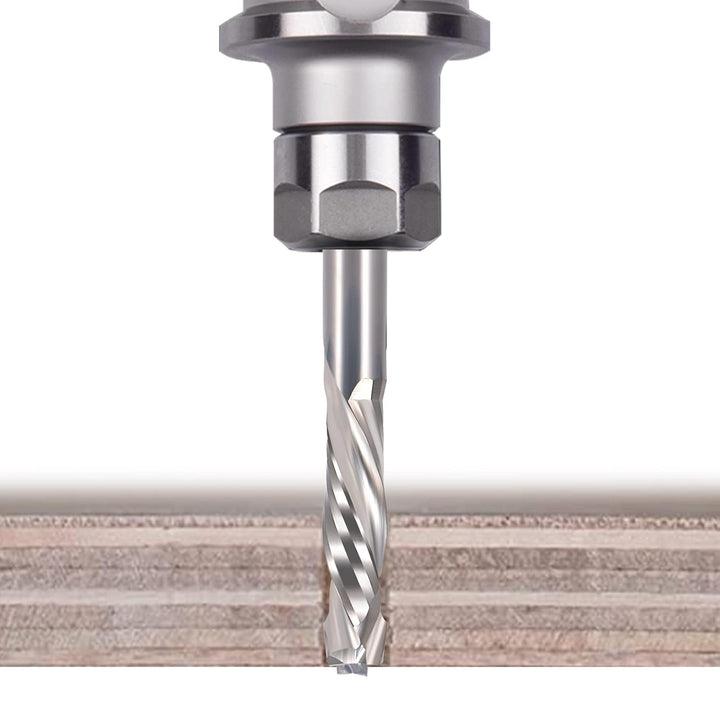 EU_HOZLY UP &amp; DOWN Cut 3.175x17mm Zwei Flöten Spiral Carbide Tool für CNC Router Kompression Holz En
